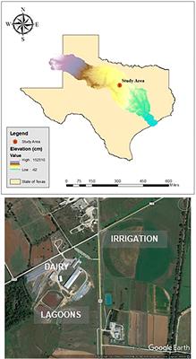 Farm-scale water-energy-food-waste nexus analysis for a closed-loop dairy system